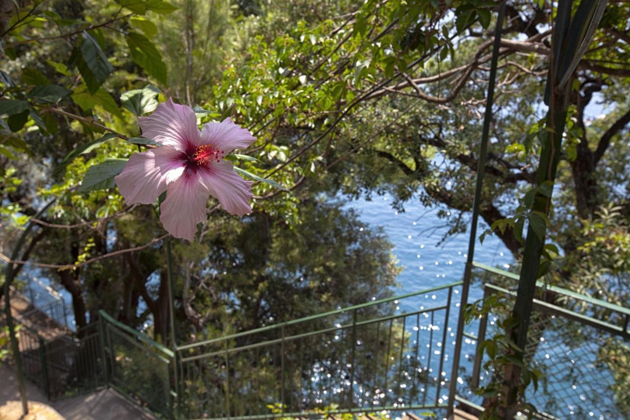 Amore Rentals - Villa Lo Scoglio Positano Eksteriør billede