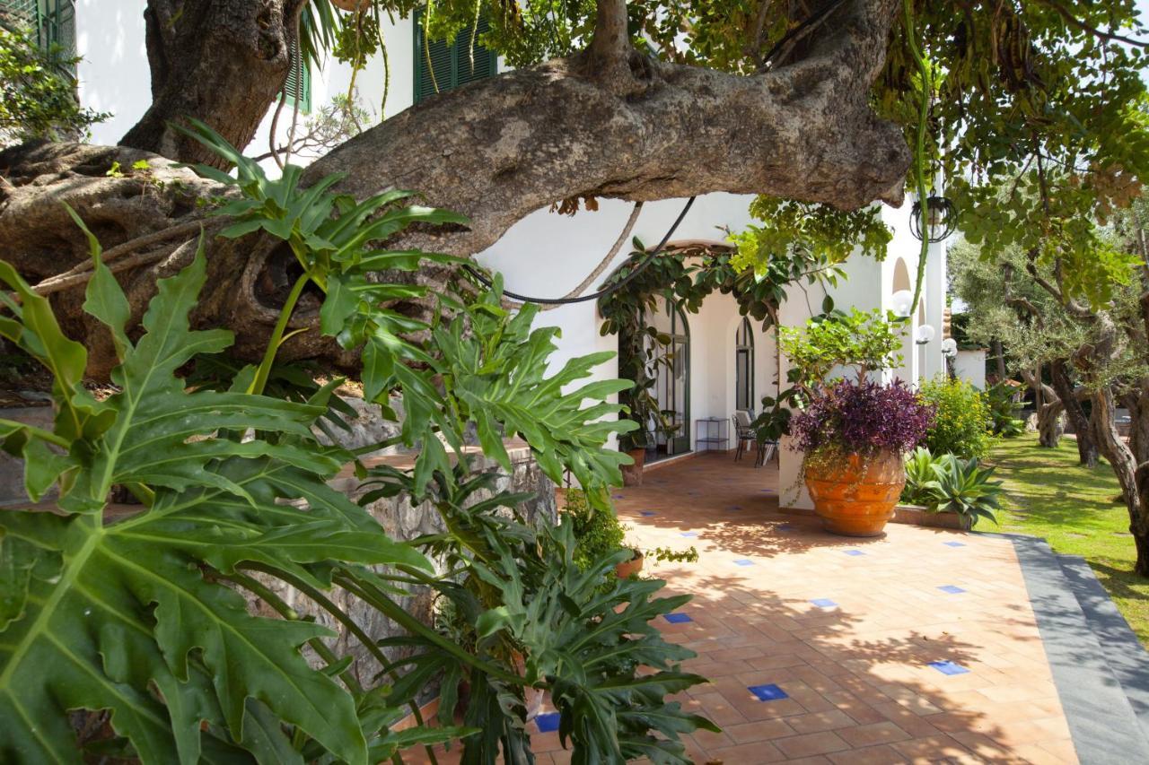 Amore Rentals - Villa Lo Scoglio Positano Eksteriør billede